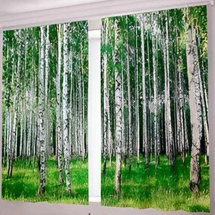 Фотошторы для кухни "В. 020125/31", Россия.