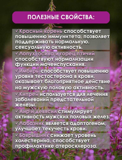 Фитокомплекс для мужского здоровья 60 капсул
