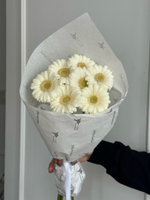 Кулек из 7 минигербер