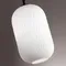 4751/1 PENDANT ODL21 489 белый/черный Подвес E27 60W ROOFI