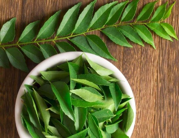 Секретный ингредиент индийских блюд – листья карри при диабете!