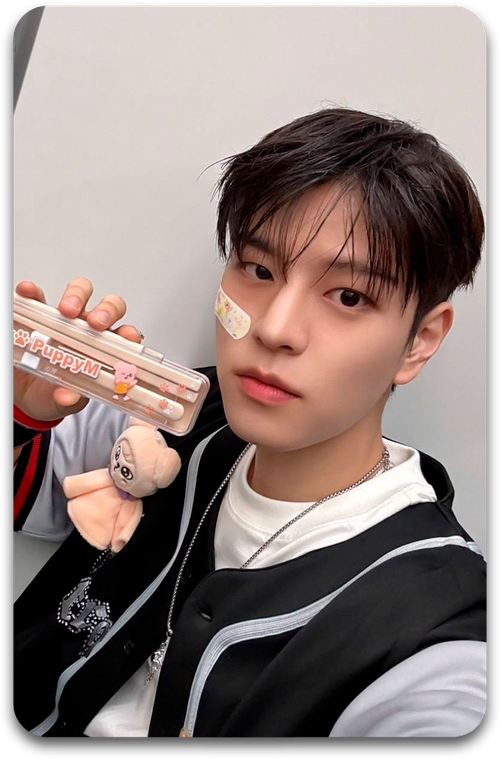 Карта / STRAY KIDS #3467