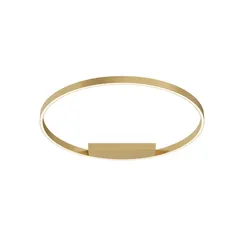 Потолочный светильник Рим / Rim 2600-3500К 51Вт Maytoni mod058cl-l50bsk