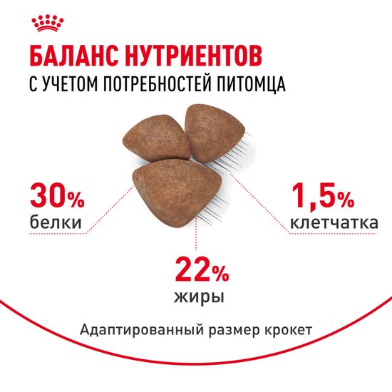 Royal Canin Mini Starter Mother & Babydog для щенков до 2-х месяцев, беременных и кормящих сук