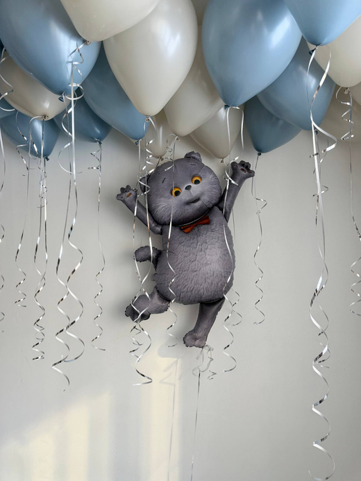 Воздушные гелиевые шарики с доставкой по Хабаровску кот Басик песок/пыльно голубой№4769