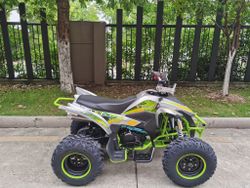 Квадроцикл YACOTA TYPHOON 250 бензин