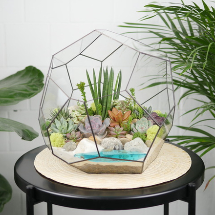 Готовый флорариум с суккулентами Марс с озером