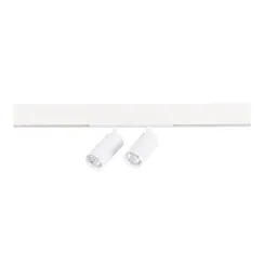 ST660.586.20 Св-к трек. Белый LED 2*10W 2700K-6000K 1 065Lm Ra>90 36° IP20 D50xH41 220V СКАЙЛАЙН 220V