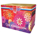 Салют Сад хризантем 4/1, СЛ226049