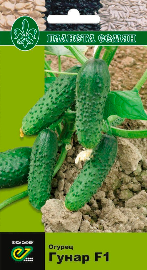 Огурец Гуннар F1
