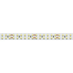 Светодиодная лента RT 2-5000 24V White6000 2x2 (3528, 1200 LED, LUX) (Arlight, 19.2 Вт/м, IP20) 008771(B)