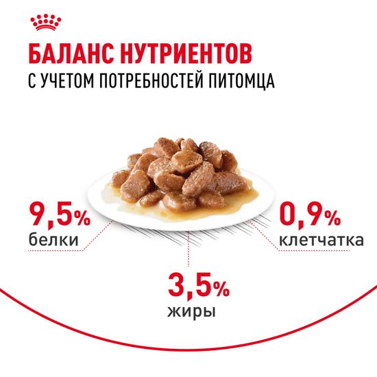 Royal Canin Digest Sensitive влажный корм для взрослых Кошек и Котов для улучшения пищеварения 85 гр