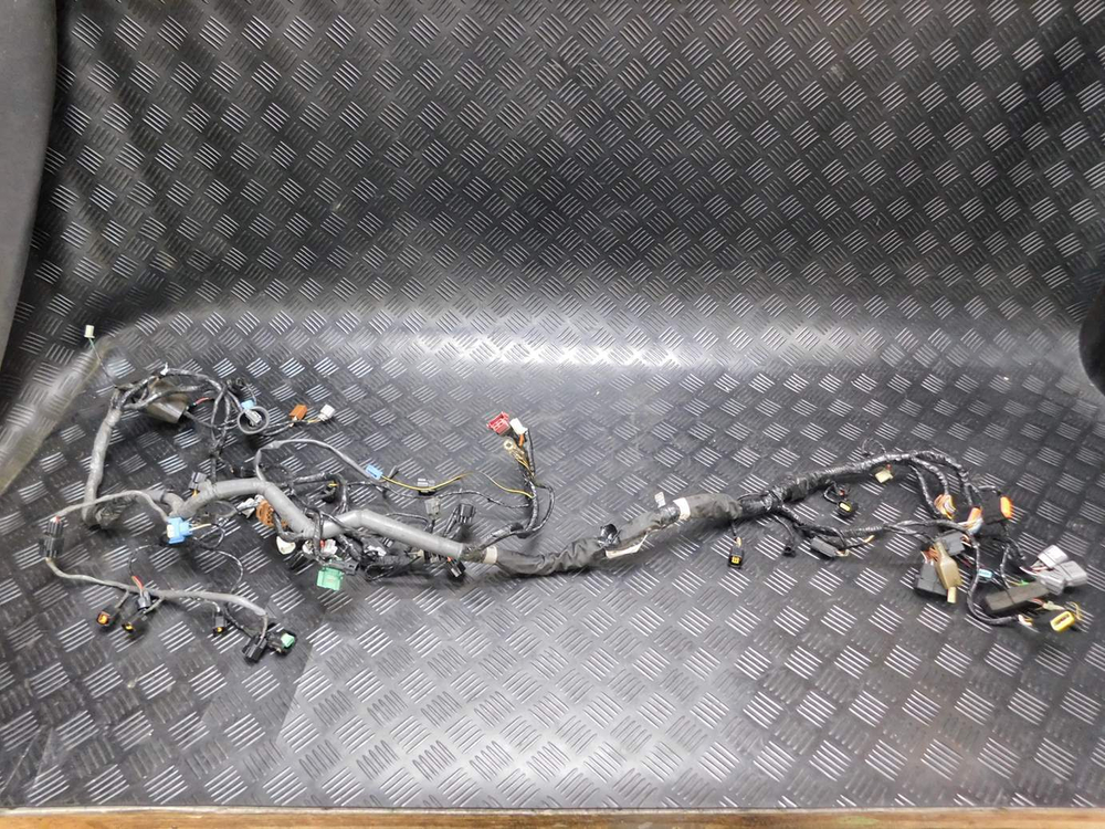 Коса электропроводки Kawasaki ZZR1400 ZXT40C 051930