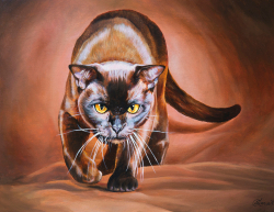 Коллекция Животные