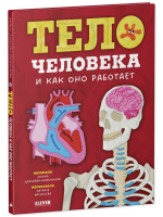Любимая детская энциклопедия. Тело человека и как оно работает