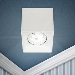 Светильник настенно-потолочный спот ЭРА OL24-1 WH MR16/GU5.3, белый, поворотный | Накладные светильники