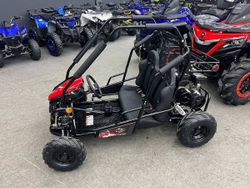 Багги SHARMAX Тигр 250