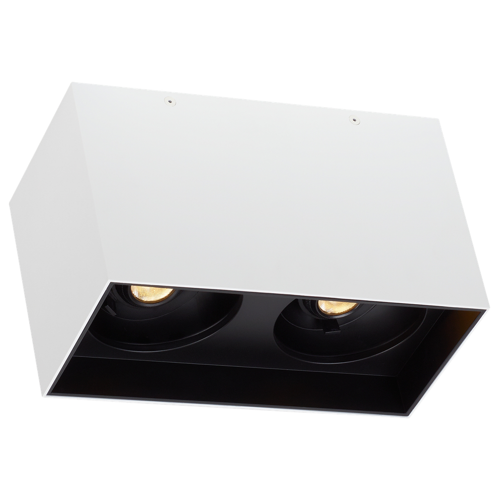 Потолочный светильник Visual Comfort Exo Dual Flush Mount