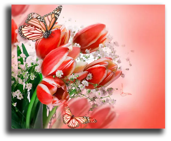 Постер "Красные тюльпаны"