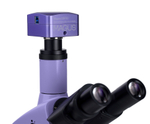 Микроскоп биологический цифровой MAGUS Bio D250TL
