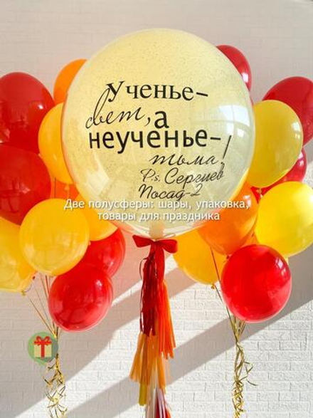 Набор шаров Ученье свет макси