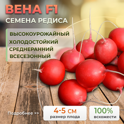 ВЕНА семена редиса (Enza Zaden | Alexagro)