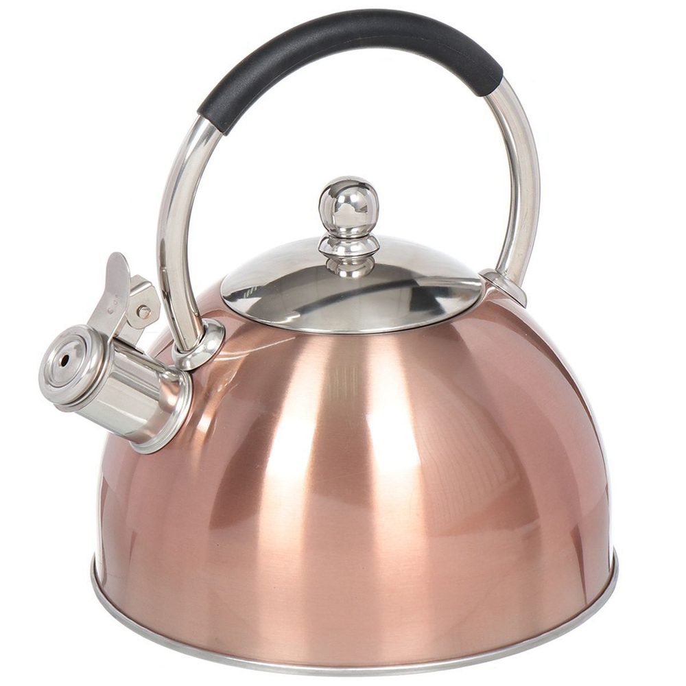 Чайник нерж, 3 л, свист, ручк с силик покр, Daniks, индукц, перламутровый, MSY-072