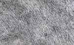 Du&Ka 1,06 м 27002-8 Freya