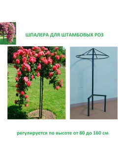 Шпалера для роз