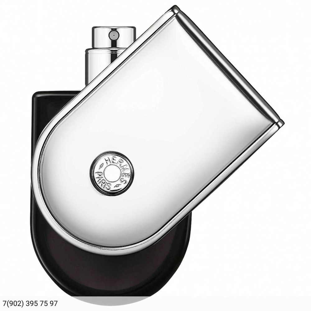 Hermes Voyage d Hermes Eau de Parfum