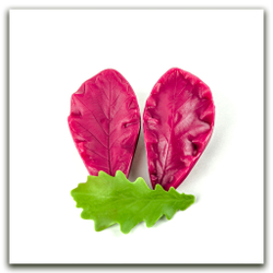 Лист дуба XL. Набор 1