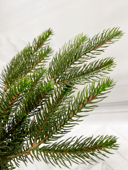 Ель TreeDeLuxe Камчатская премиум 100% литая 180см зеленая