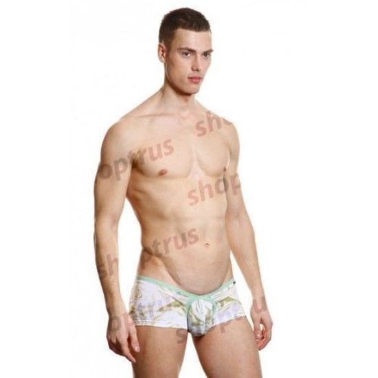 Мужские трусы хипсы белые с розами TOOT TT00066