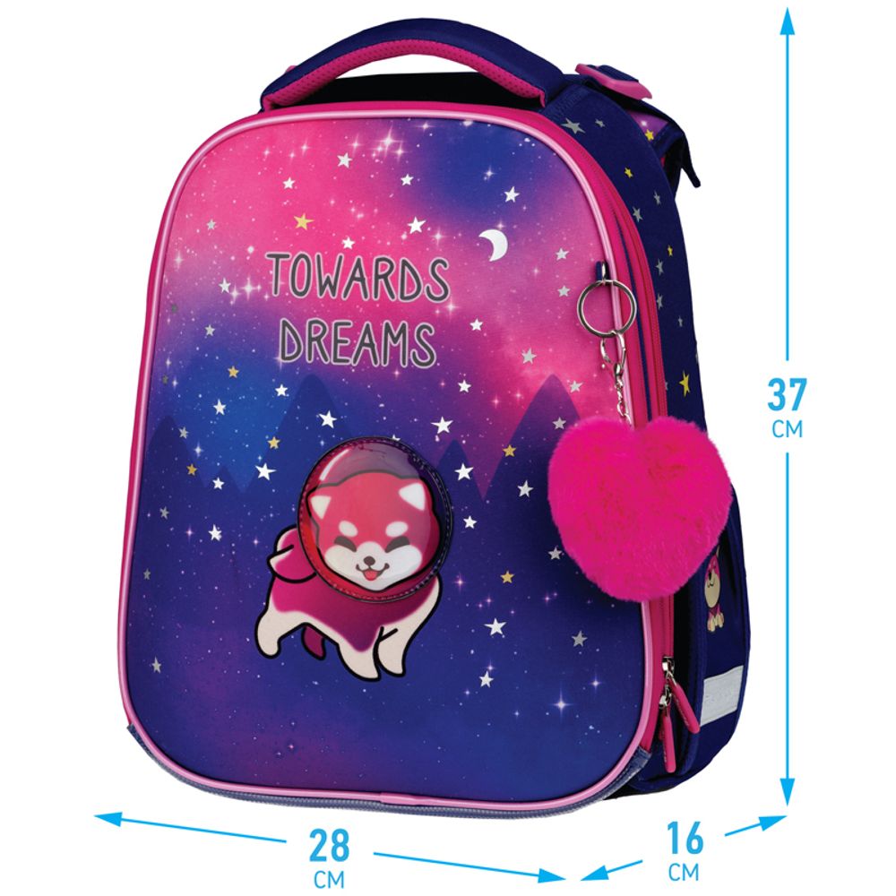 Ранец Berlingo Expert Akita boy 37х28х16см, 2 отд., с анатомической спинкой