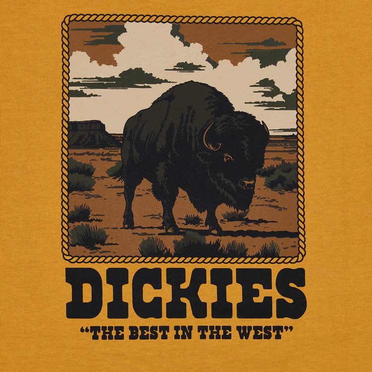 Футболка мужская Dickies Darrtown Short Sleeve Tee 