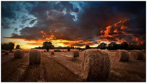 Панель Samsung VM55B-U