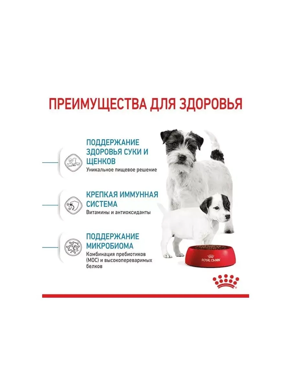ROYAL CANIN Mini Starter Mother & Babydog (Роял Канин Мини Стартер Мазер Бэбидог) корм сухой для собак 20 кг.