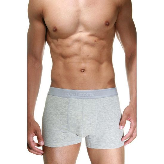 Трусы мужские боксеры светло-серые DARKZONE DZN2103