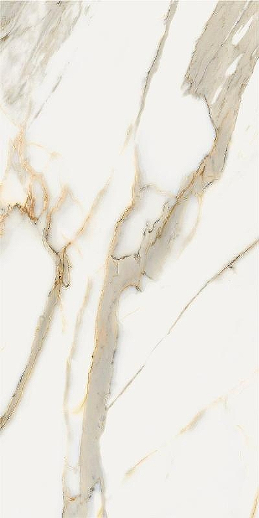 Керамогранит Italon Stellaris Calacatta Gold шлиф 610015000677 60х120 см