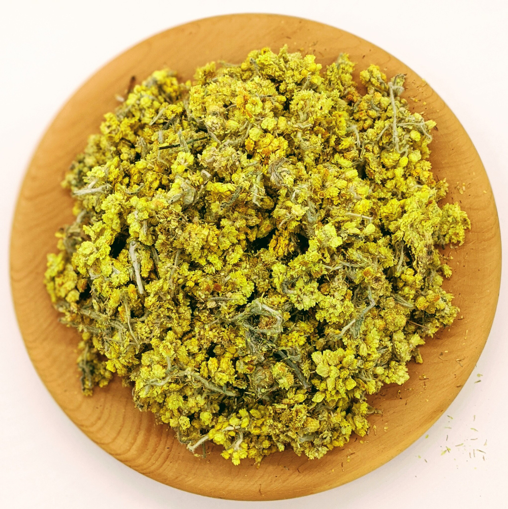 Бессмертник песчаный