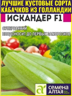 Семена кабачков кустовых ранних Искандер F1