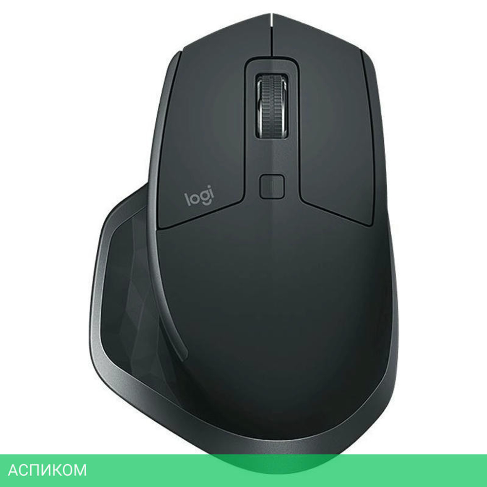 Мышь Logitech MX Master 2S черный/серый (910-007223)