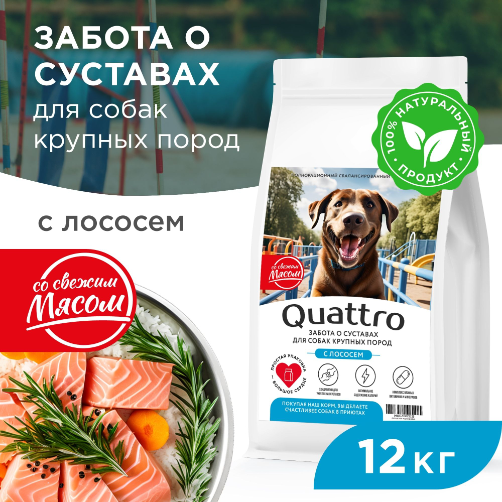 Корм сухой для взрослых собак крупных пород, премиум полнорационный комплекс, забота о суставах, с лососем, 12 кг, QUATTRO