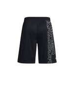 Шорты мужские Under Armour UA Tech WM Graphic Short-BLK
