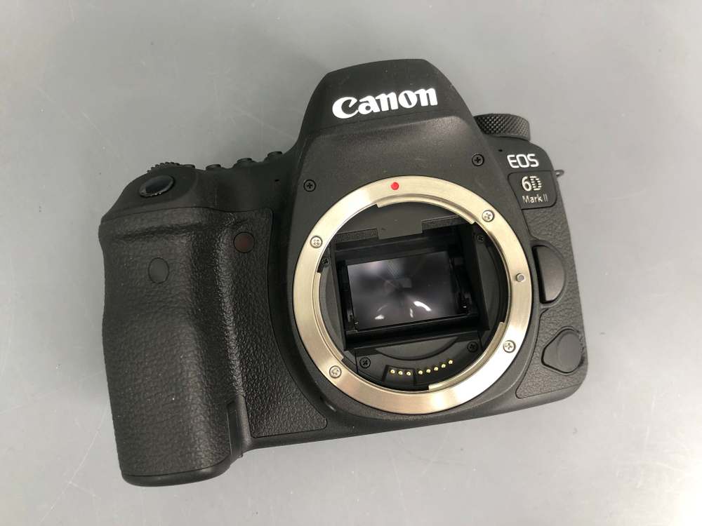 Canon EOS 6D Mark II (2.700 кадров)
