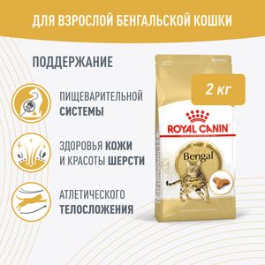 Корм для кошек бенгальской породы, Royal Canin Bengal, в возрасте от 1 года и старше