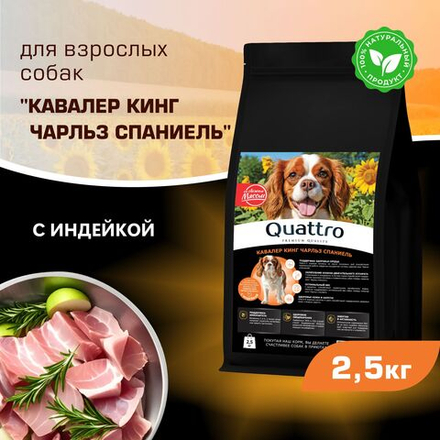 Корм сухой для взрослых собак породы Кавалер кинг Чарльз спаниель, с индейкой, 2,5 кг, QUATTRO