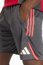 Шорты adidas Liverpool FC 25/26 Competition Training - серый