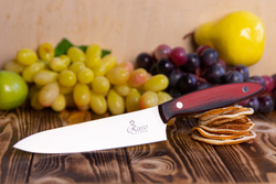 🏆Кухонный нож Alexander M PRO AUS-8 Red G10