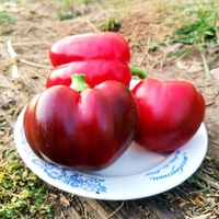 Перец Сладкий - Барбекю